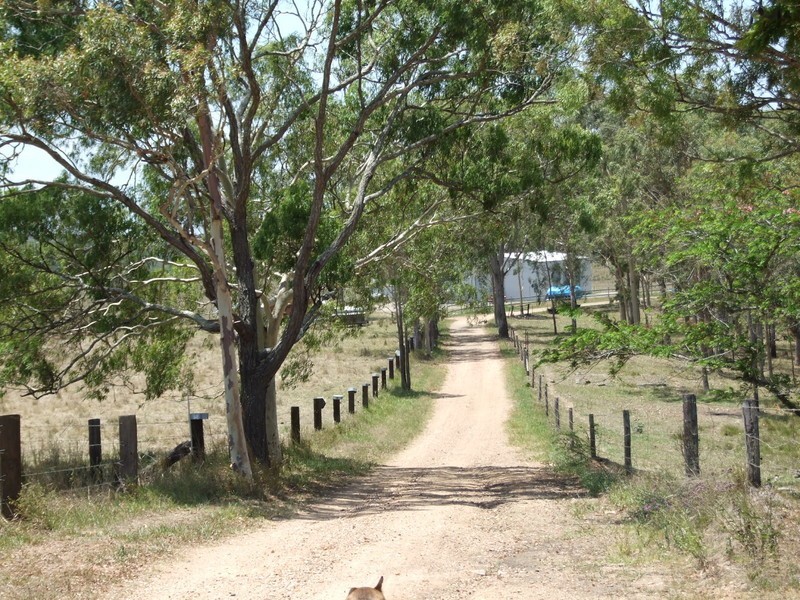303 Bondoola Road, Bondoola QLD 4703