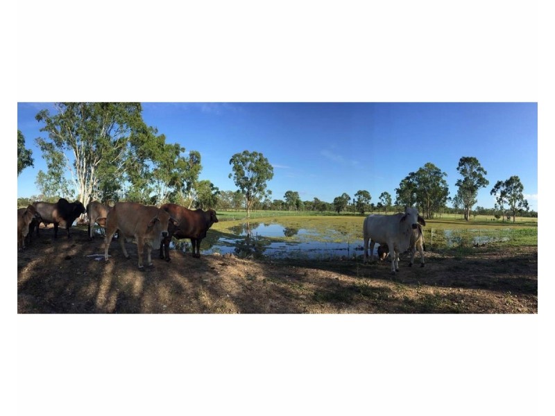 658 Belmont Road, Glenlee QLD 4711