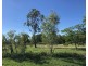 296 Johnson Road, Gracemere QLD 4702