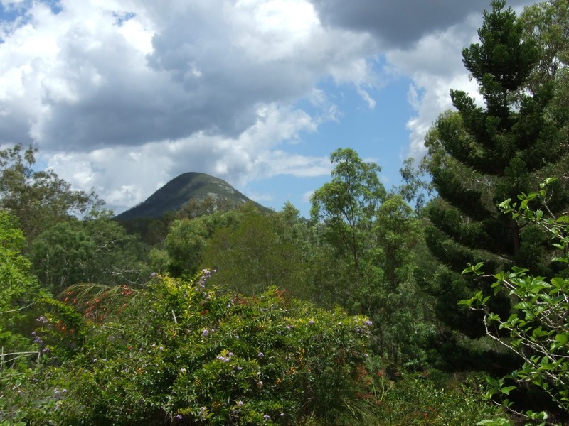 539 Coorooman Creek Road, Cawarral QLD 4702
