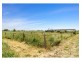 1179 Ridgelands Road, Alton Downs QLD 4702