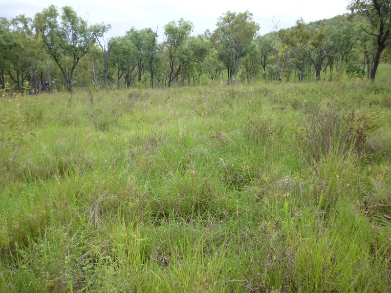 14 Metoer Park Road, Kabra QLD 4702