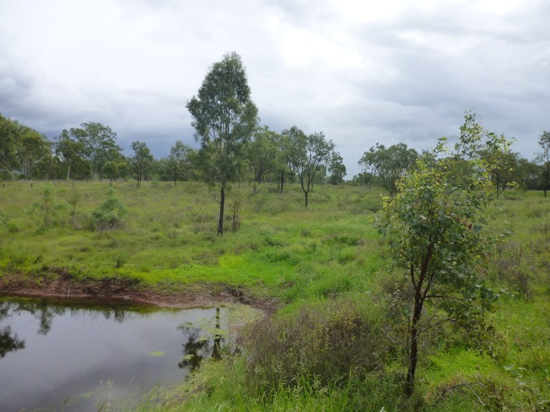 14 Metoer Park Road, Kabra QLD 4702