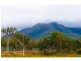 Tallawalah, Clairview QLD 4741