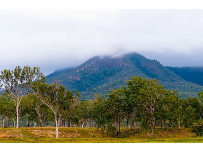 Tallawalah, Clairview QLD 4741