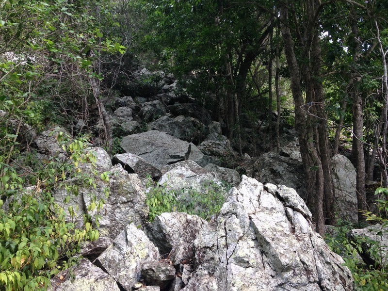 2/ Benedict Road, Stanwell QLD 4702