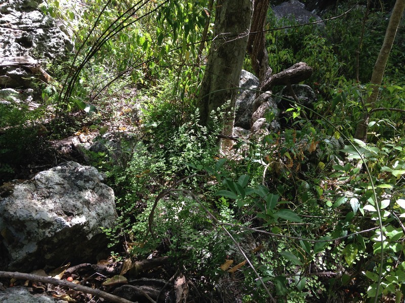 2/ Benedict Road, Stanwell QLD 4702