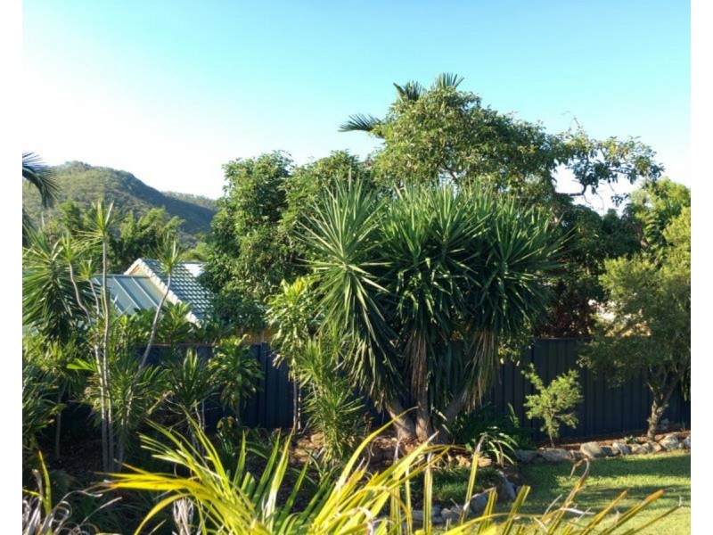 215 Pritchard Street, Frenchville QLD 4701