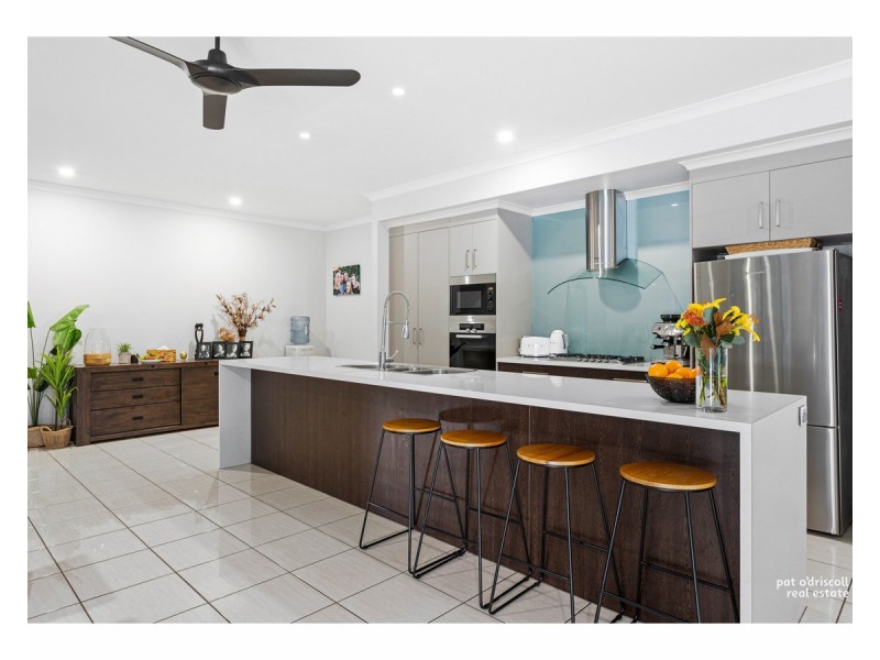 3 Jewell Court, Parkhurst QLD 4702