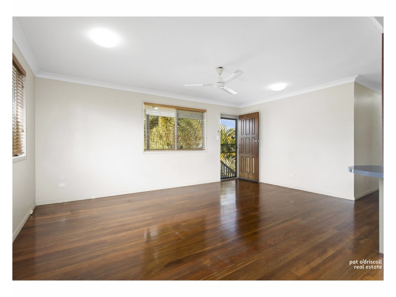 13 Harriette Street, Park Avenue QLD 4701