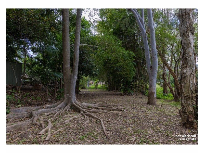 9 Zemlicoff Street, Frenchville QLD 4701