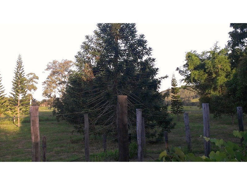 1269 Emu Park Road, Nankin QLD 4701