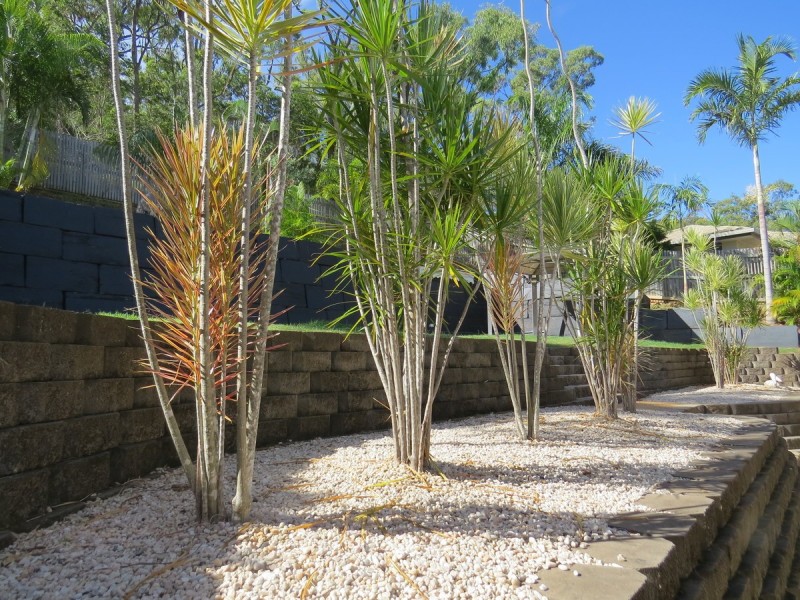 18 Constantia Crescent, Frenchville QLD 4701