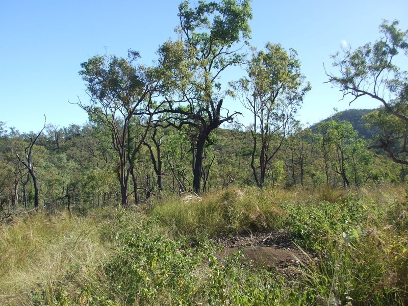 730 Upper Ulam Road, Bajool QLD 4699