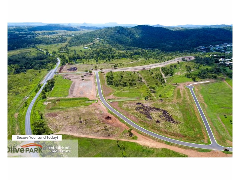 Olive Park, Rockyview QLD 4701