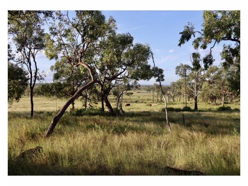 Lot 3,  Dalma Ridgelands Road, Ridgelands QLD 4702