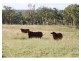 Lot 3,  Dalma Ridgelands Road, Ridgelands QLD 4702