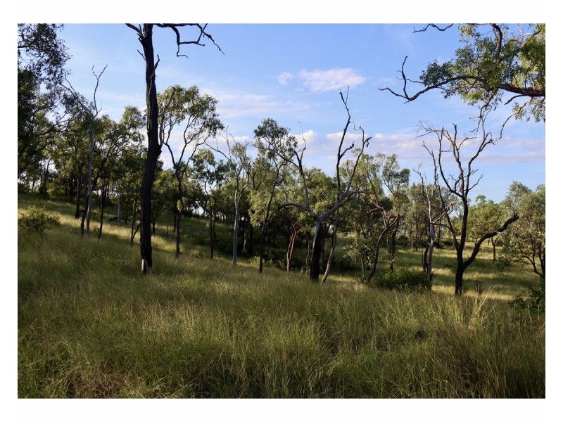 Lot 3,  Dalma Ridgelands Road, Ridgelands QLD 4702