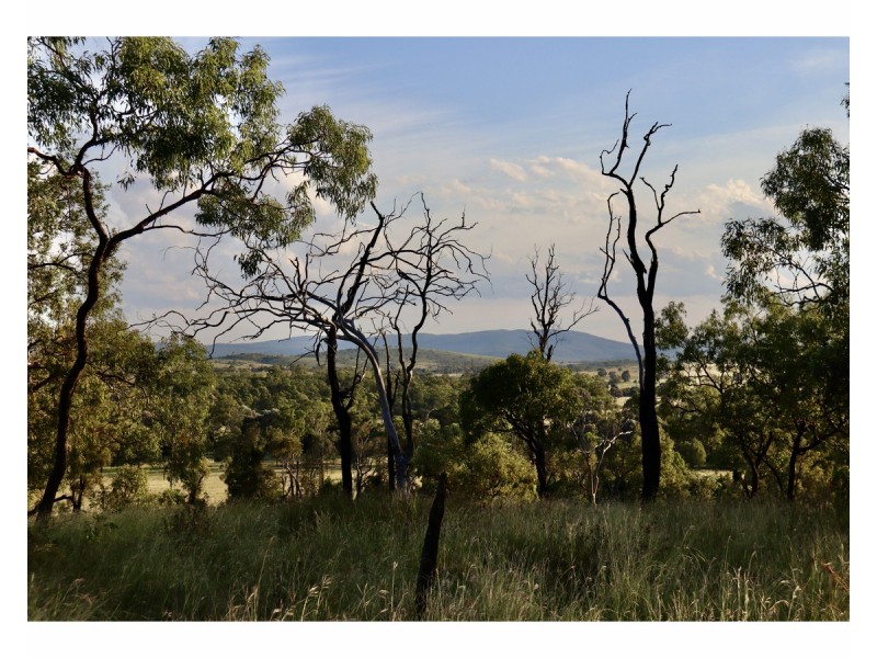 Lot 3,  Dalma Ridgelands Road, Ridgelands QLD 4702