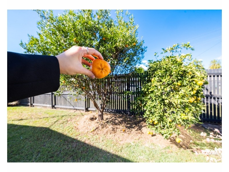 1/324 Pain Street, Koongal QLD 4701