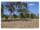 216 Lion Mountain Road, Alton Downs QLD 4702