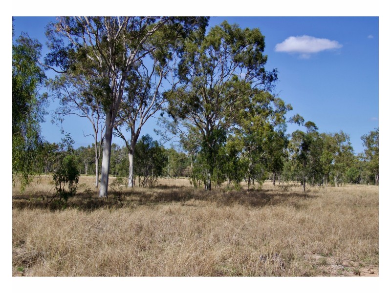 216 Lion Mountain Road, Alton Downs QLD 4702