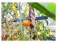 277 Diplock Street, Berserker QLD 4701