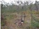 718 Atkinson Road, Canoona QLD 4702