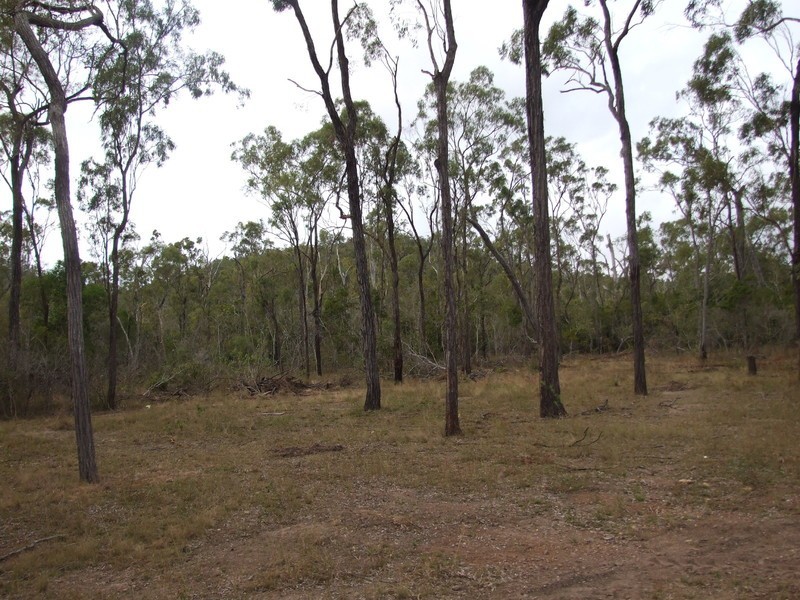 718 Atkinson Road, Canoona QLD 4702