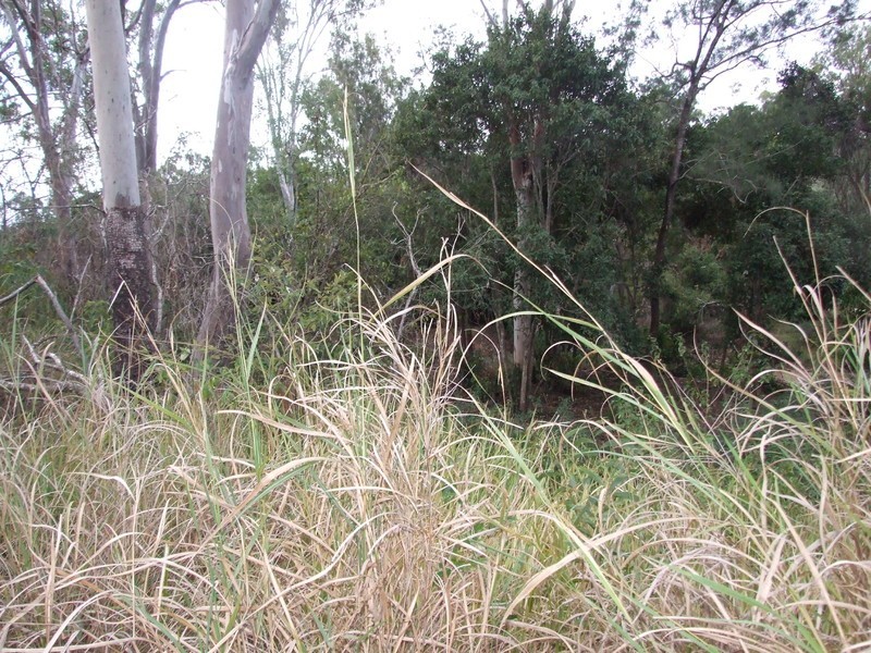 718 Atkinson Road, Canoona QLD 4702
