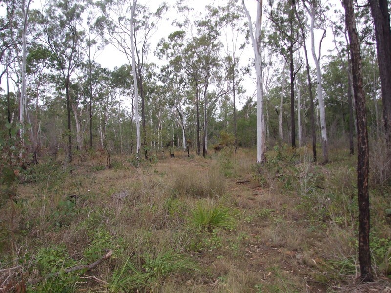 718 Atkinson Road, Canoona QLD 4702