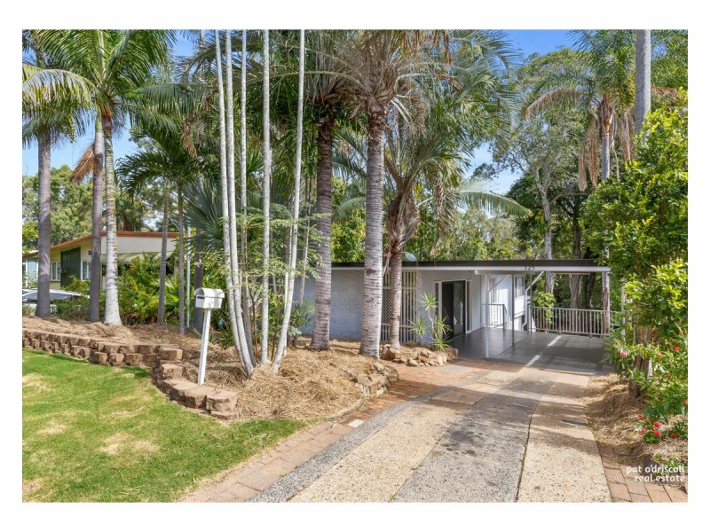 325 Mills Avenue, Frenchville QLD 4701