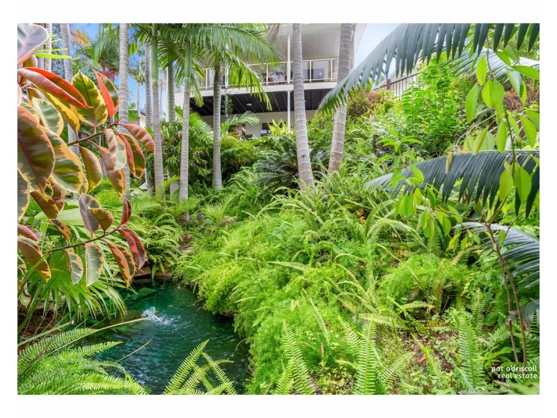 22 Neill Street, Frenchville QLD 4701