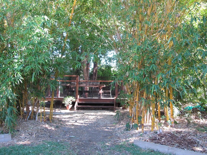 23 Woodville Street, Wandal QLD 4700