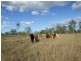 34 Magazine Road, Bajool QLD 4699