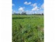 Lot 106,  Woodford Road, Alton Downs QLD 4702