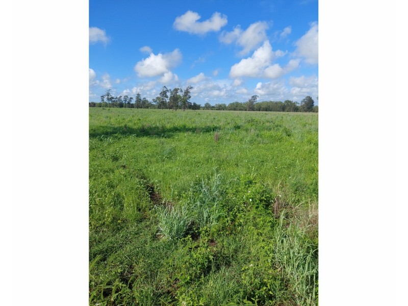 Lot 106,  Woodford Road, Alton Downs QLD 4702