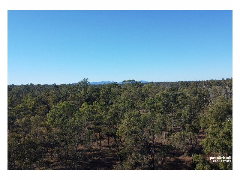 Lot 41,  Augustus Street, Yaamba QLD 4704