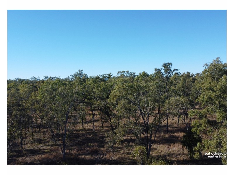 Lot 41,  Augustus Street, Yaamba QLD 4704