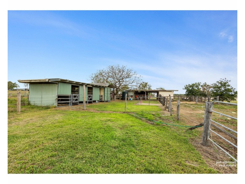 22 Rayner Road, Alton Downs QLD 4702