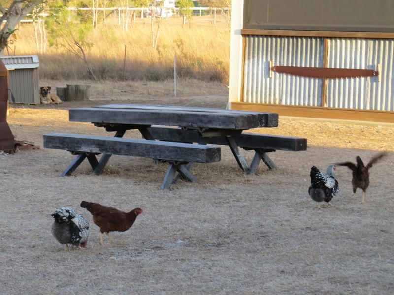 10 Linda Close, Bouldercombe QLD 4702