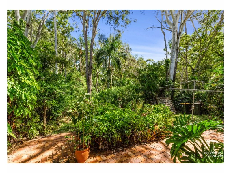 323 Mills Avenue, Frenchville QLD 4701