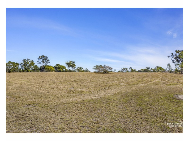 51 Douglas Street, Gracemere QLD 4702