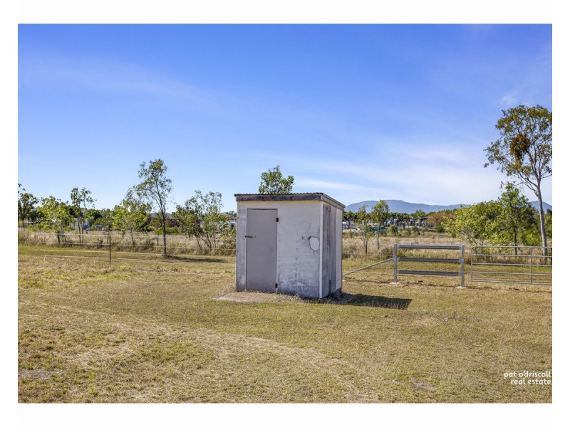51 Douglas Street, Gracemere QLD 4702