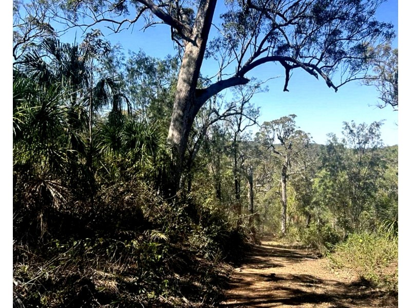 1290 Nine Mile Road, Nine Mile Creek QLD 4714