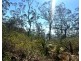 1290 Nine Mile Road, Nine Mile Creek QLD 4714