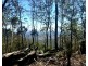 1290 Nine Mile Road, Nine Mile Creek QLD 4714