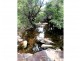 1290 Nine Mile Road, Nine Mile Creek QLD 4714