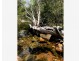 1290 Nine Mile Road, Nine Mile Creek QLD 4714