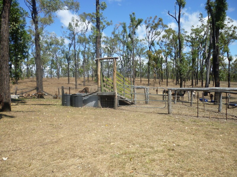 66 Dodson Lane, Cawarral QLD 4702